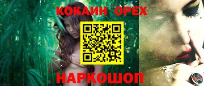 сатива Тверь