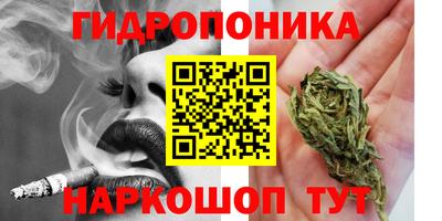 дмт Тара