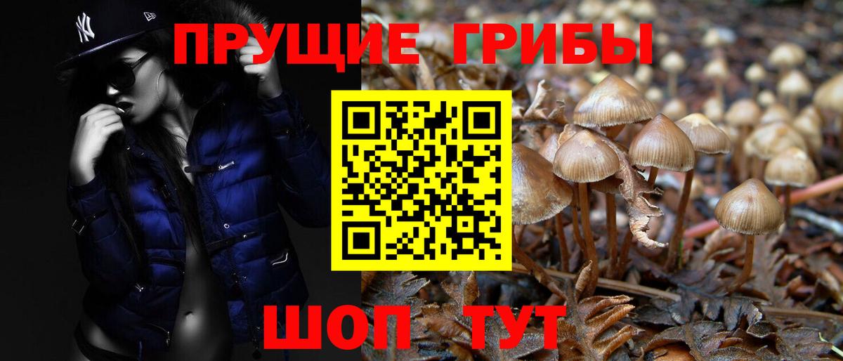 Псилоцибиновые грибы Psilocybine cubensis  Вход с VPN  сколько стоит  Галлюциногенные грибы прущие грибы  Нефтеюганск 